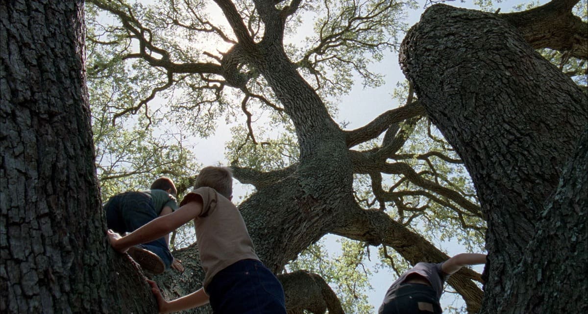 El árbol de la vida