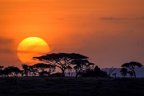 country image