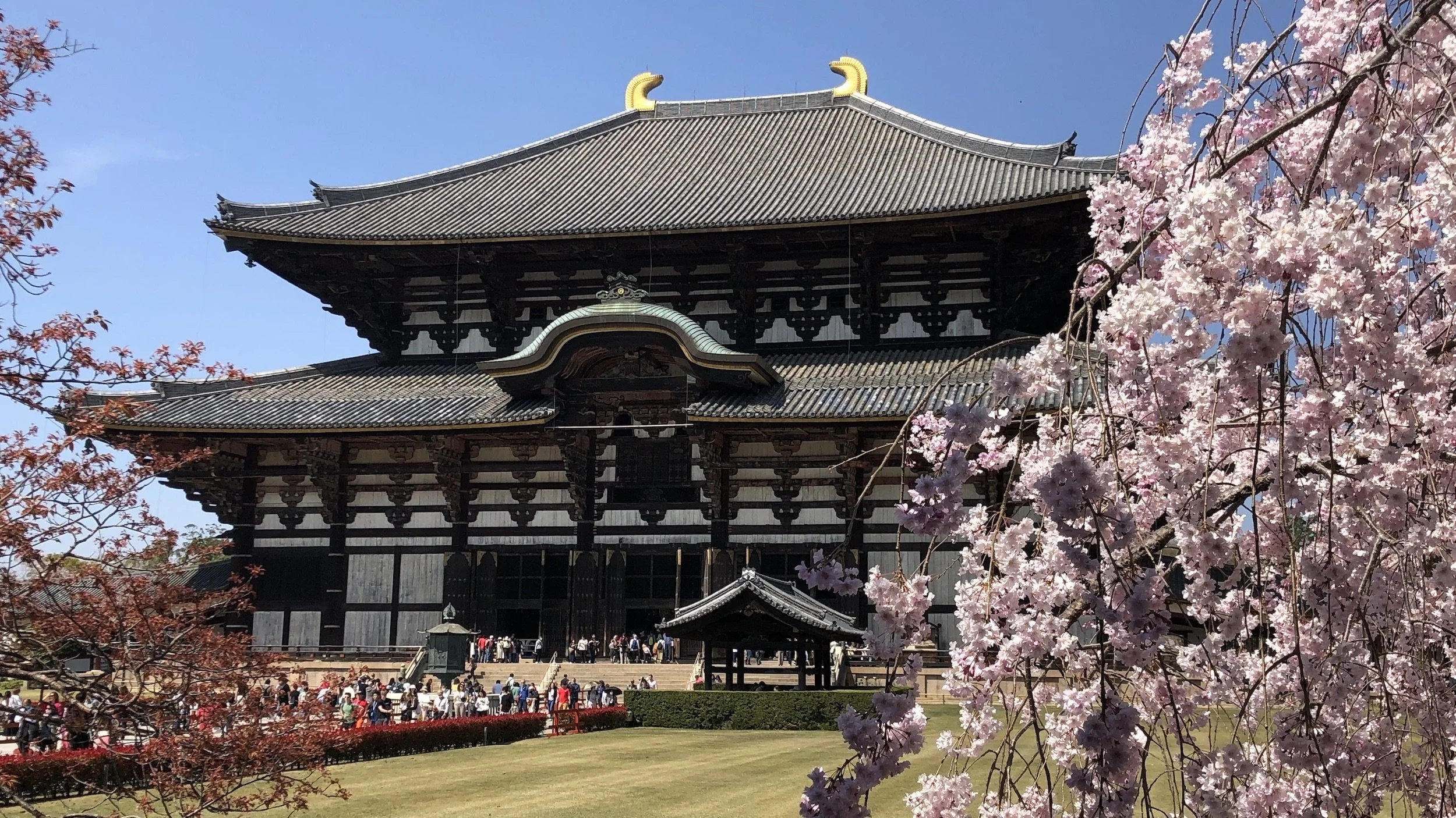 Todai ji Temple