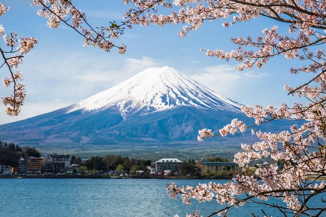 Mt Fuji and Hakone Tour