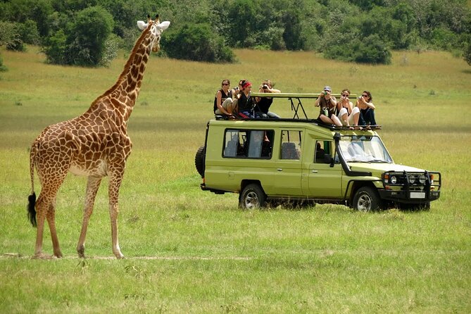 4x4 Safari Tour 