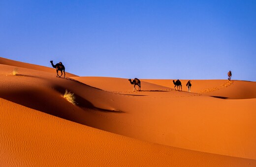 Discover Morocco’s Heritage & Living Traditions