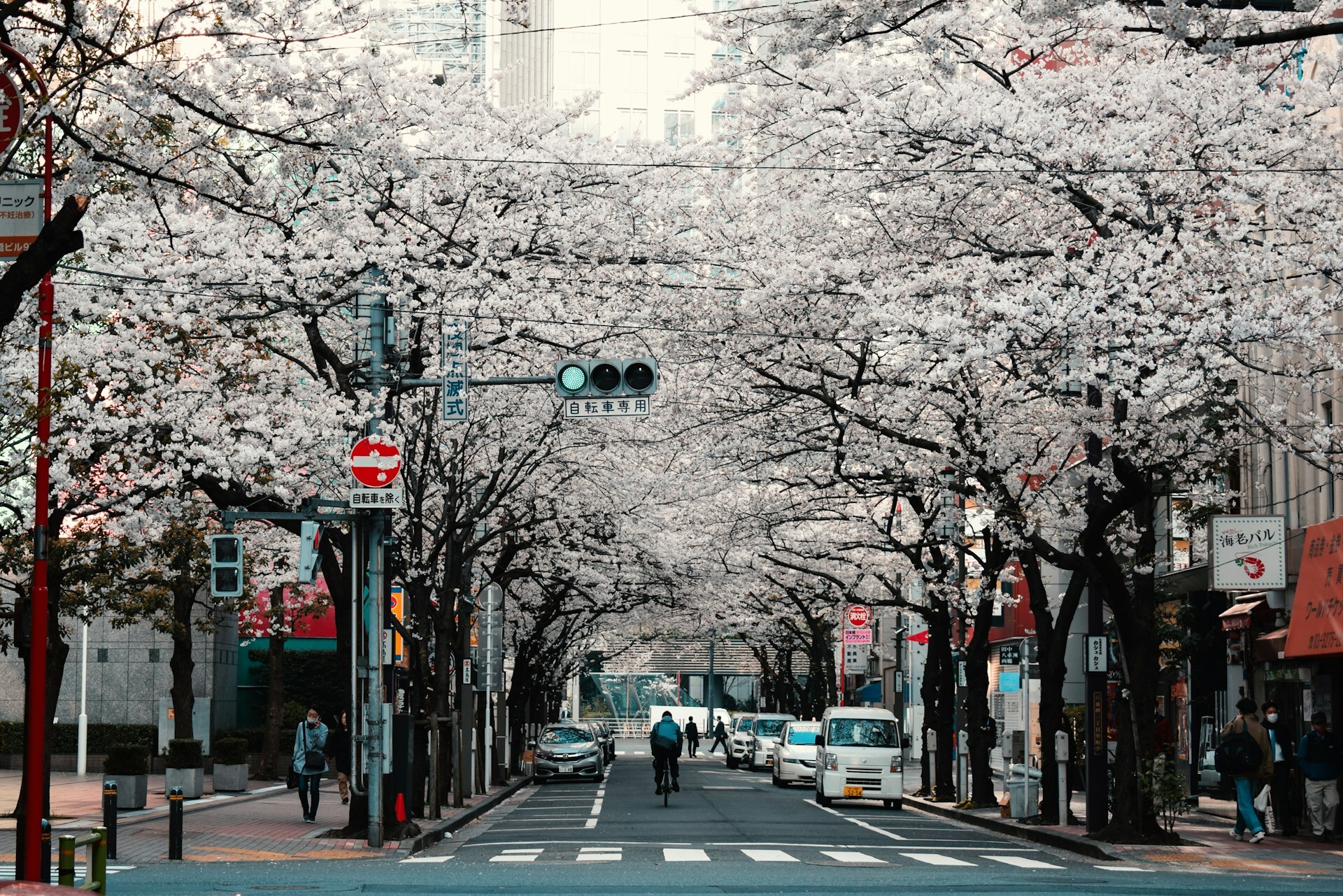 Japan Tour Packages Itineraries | Japan Highlights Osaka Tokyo Adventure | Touron | Touron Holidays | Best Travel Agency