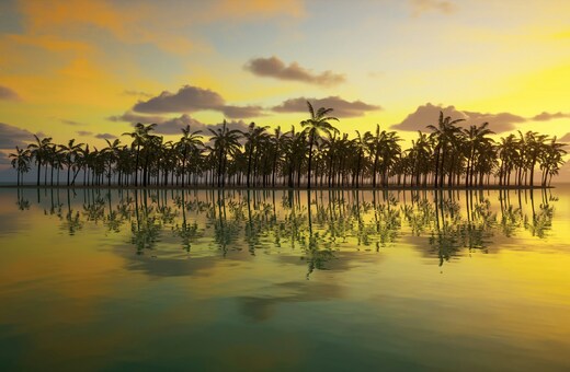 Waves of Love - A Seychelles Honeymoon Journey