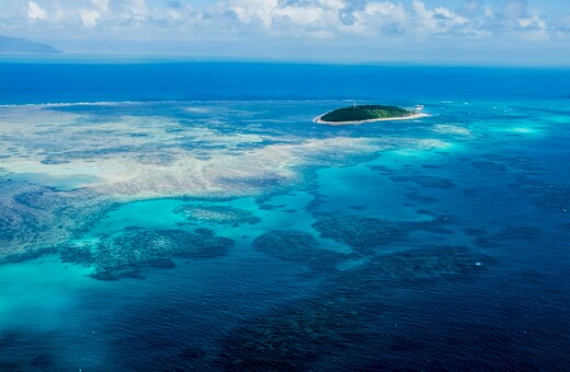 Cairns Holiday Package - Great Barrier Reef, Islands & Tropical Wildlife