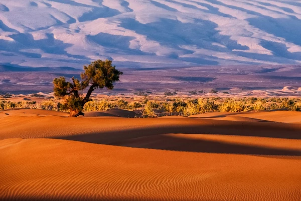 Morocco tour packages