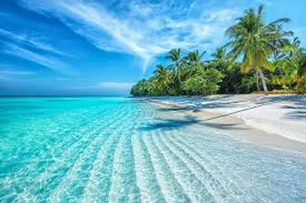 India tour packages