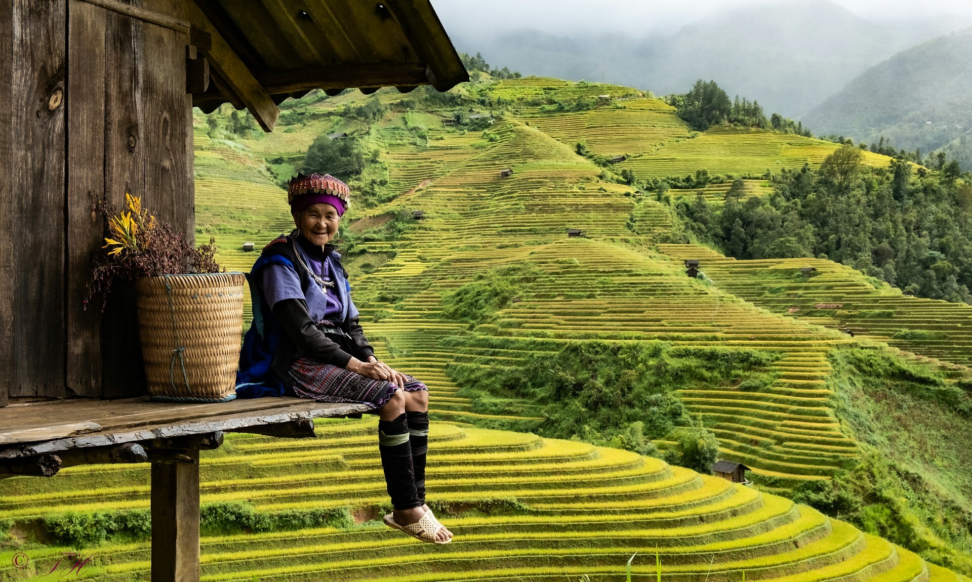 Vietnam tour packages