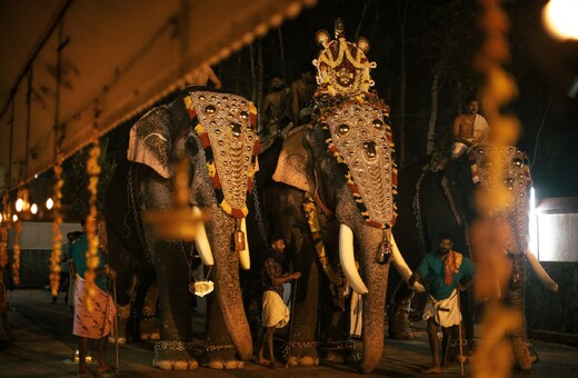 Explore Thekkady, Alleppey & Kochi
