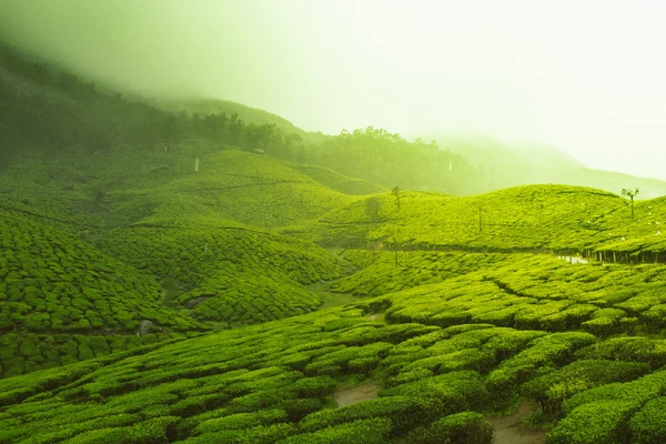 India tour packages