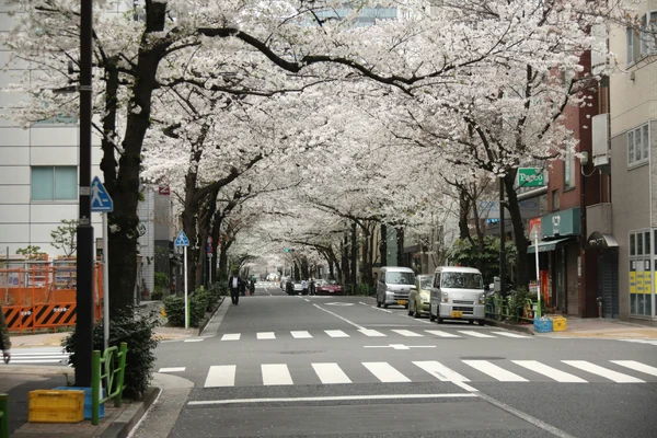 Japan Tour Packages Itineraries | Japan Unleashed 12day Adventure | Touron | Touron Holidays | Best Travel Agency