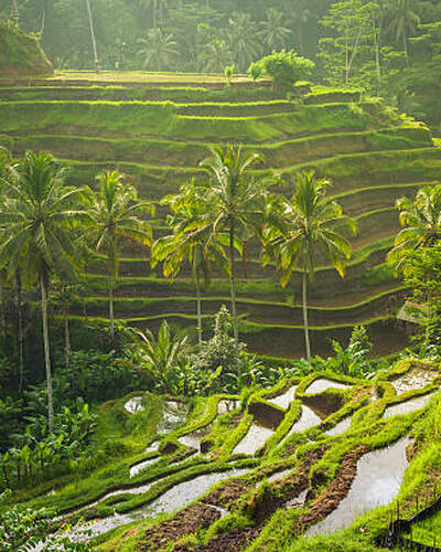 country image