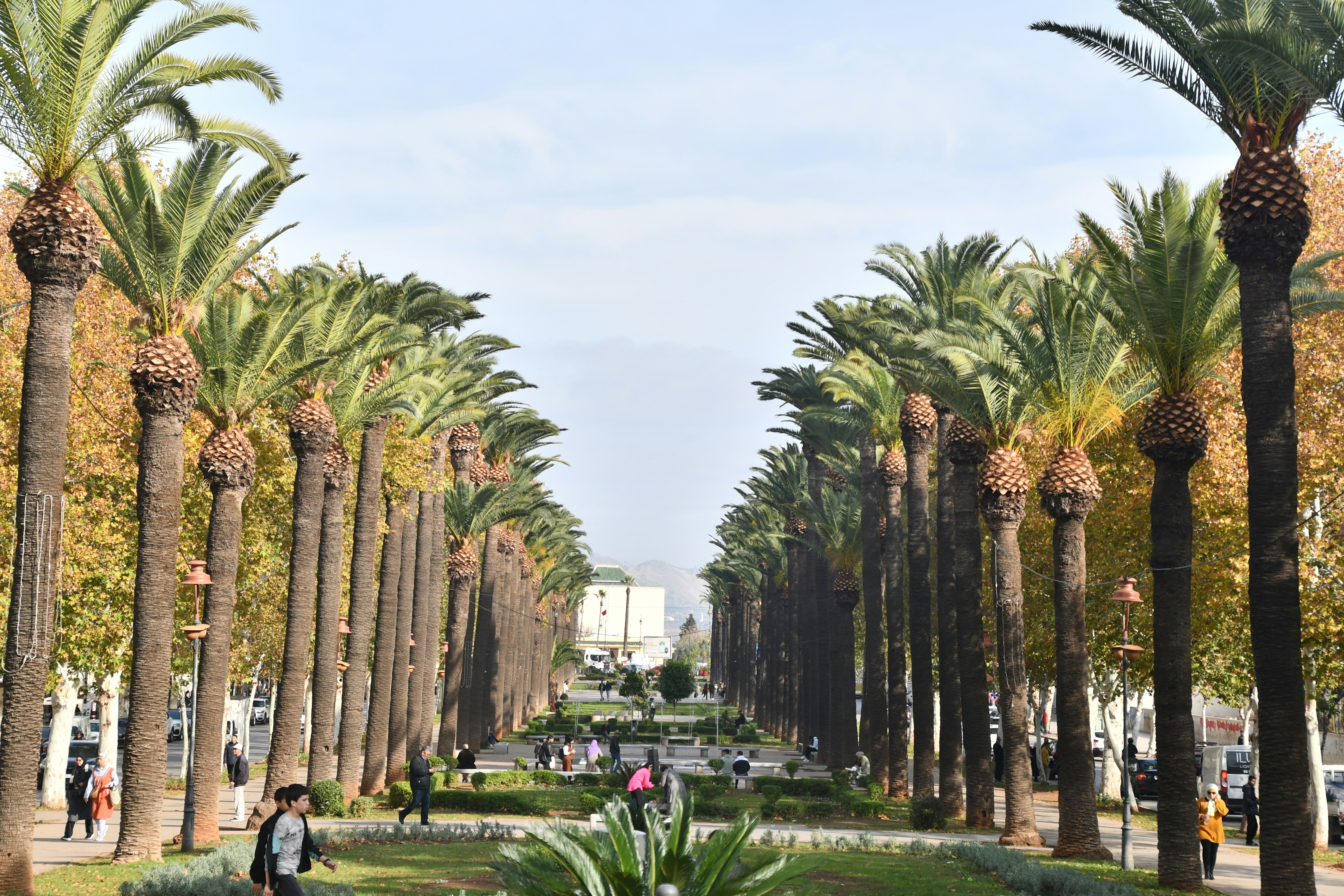 Morocco tour packages