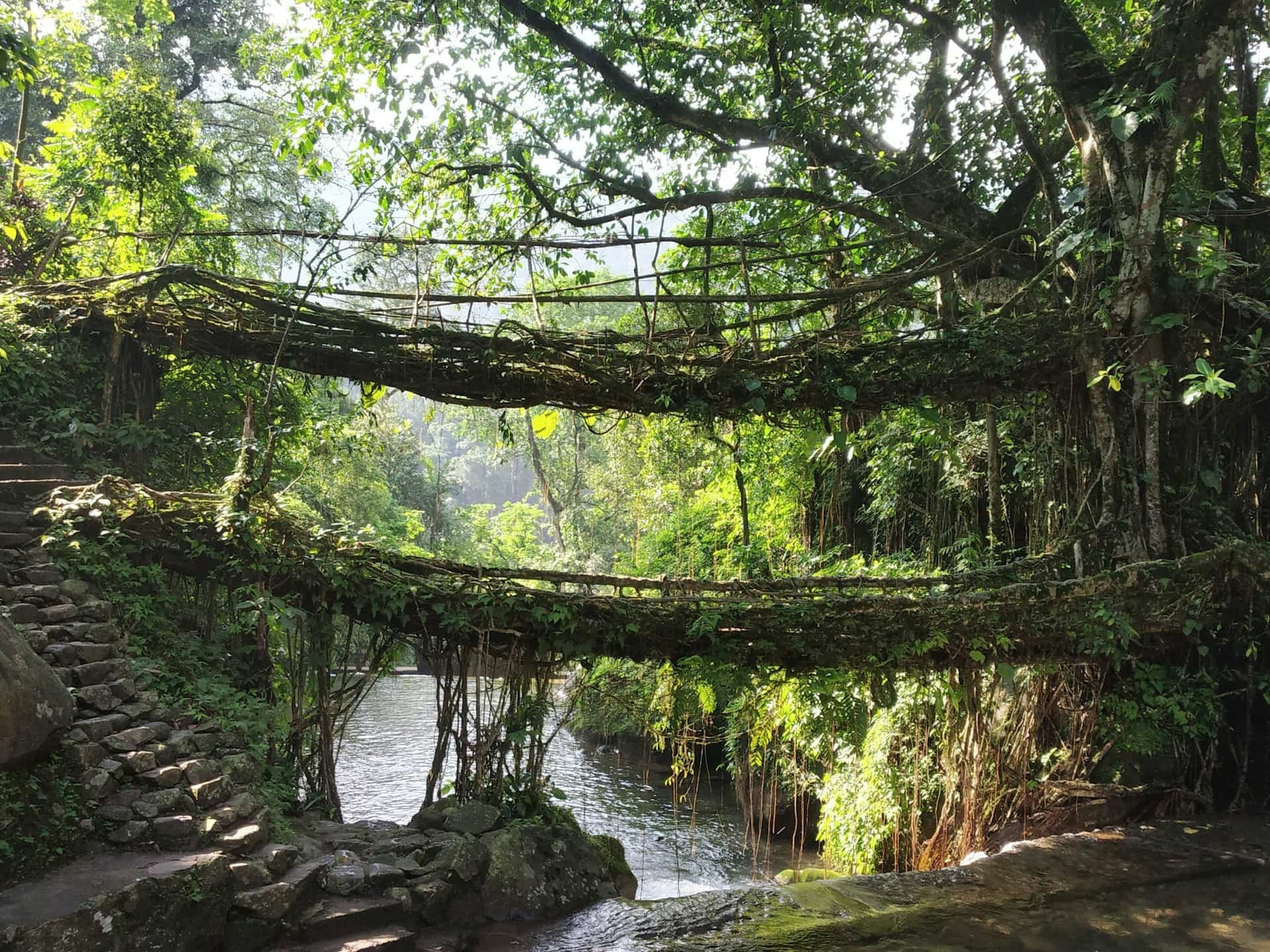 India Tour Packages Itineraries | 7 Days Of Meghalaya Adventure | Touron | Touron Holidays | Best Travel Agency