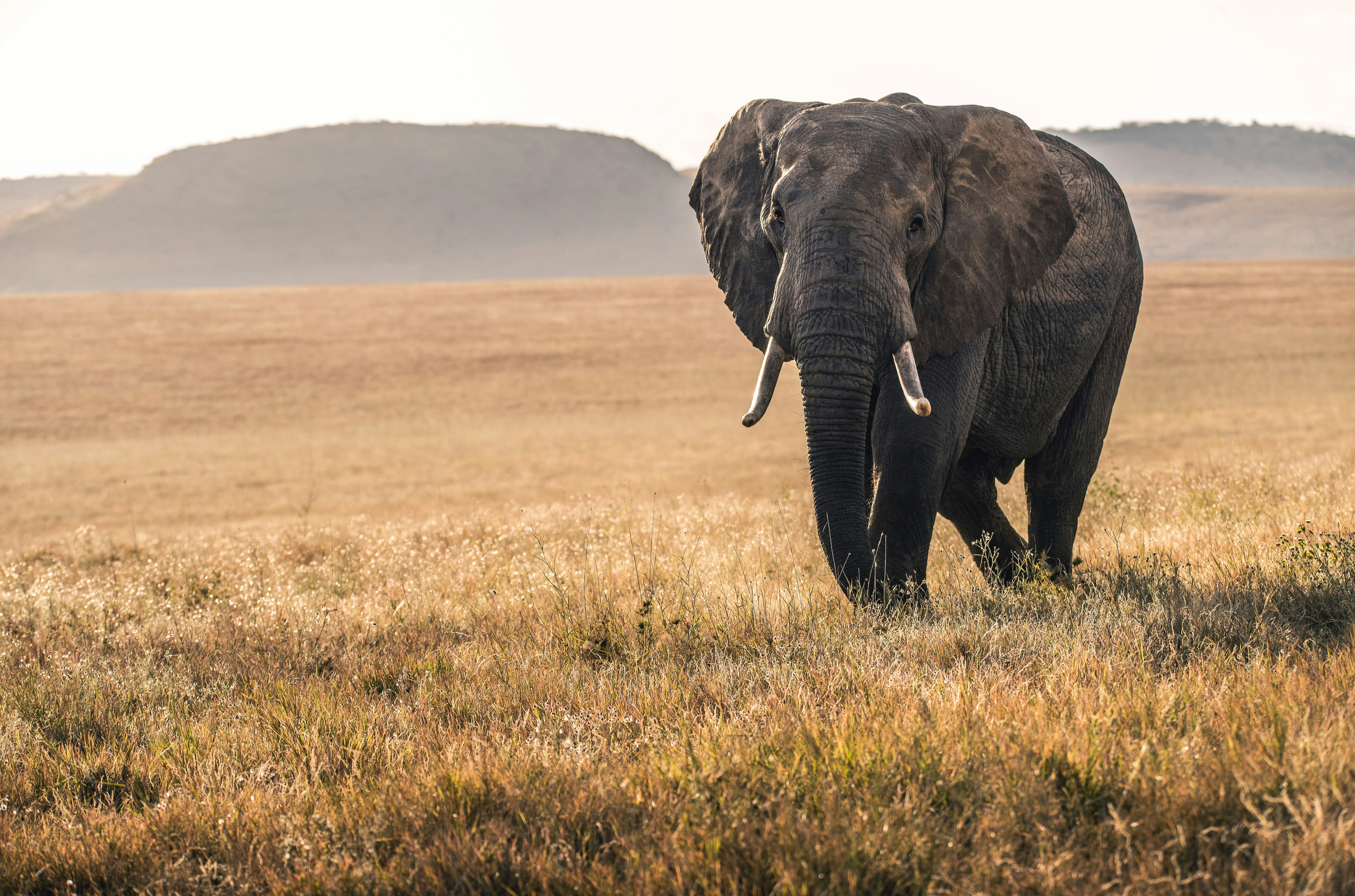 Kenya tour packages