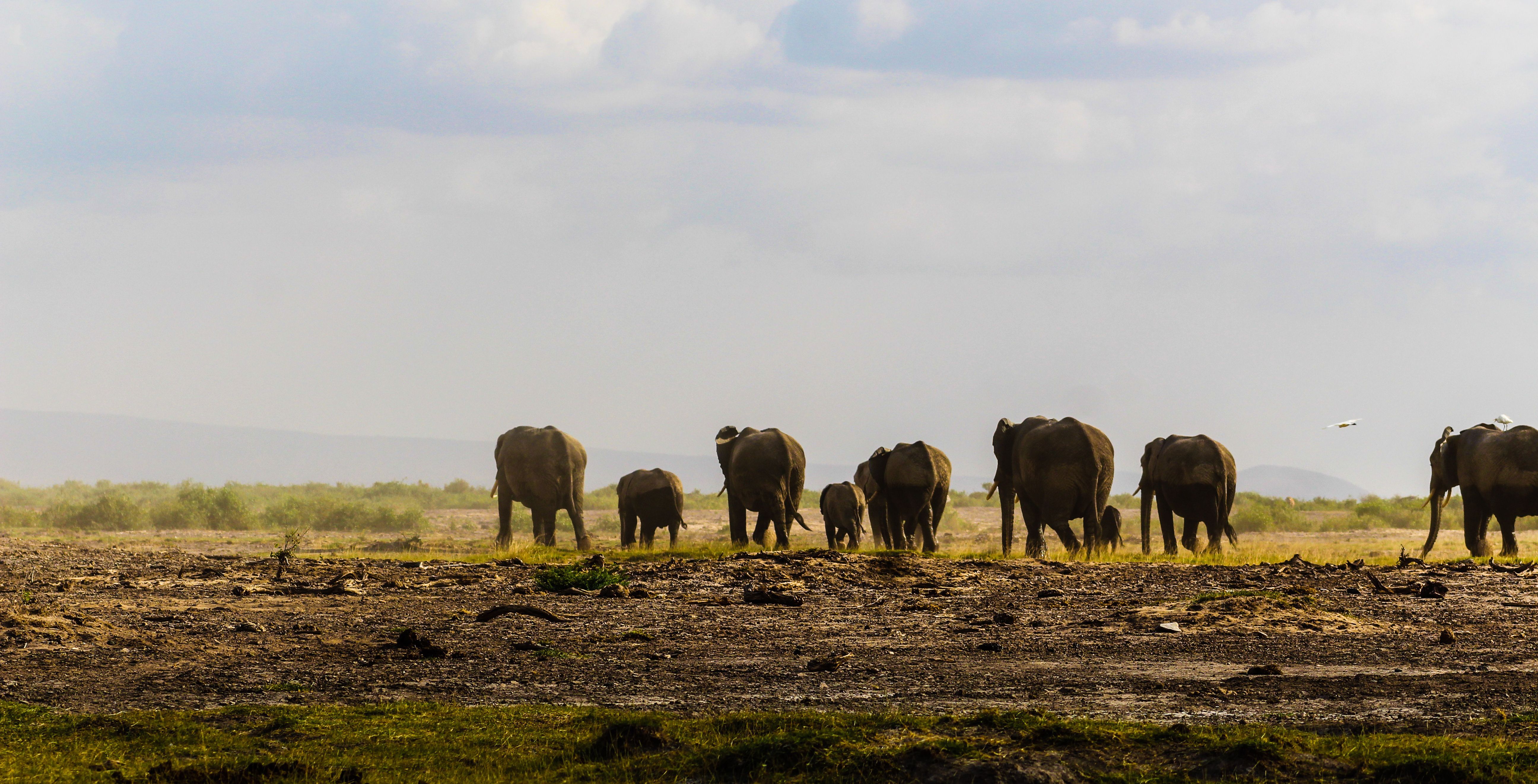 Kenya tour packages