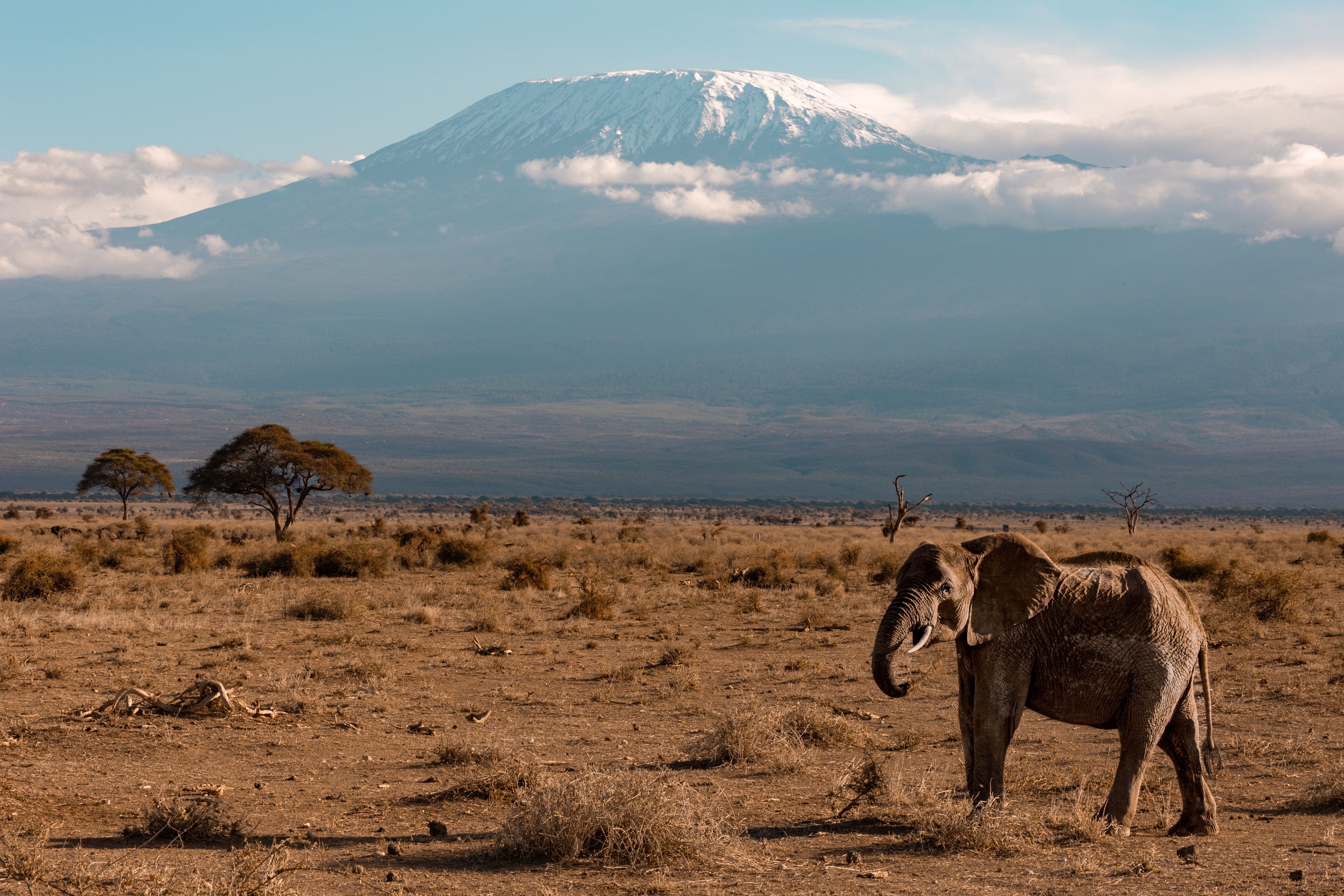 Kenya tour packages