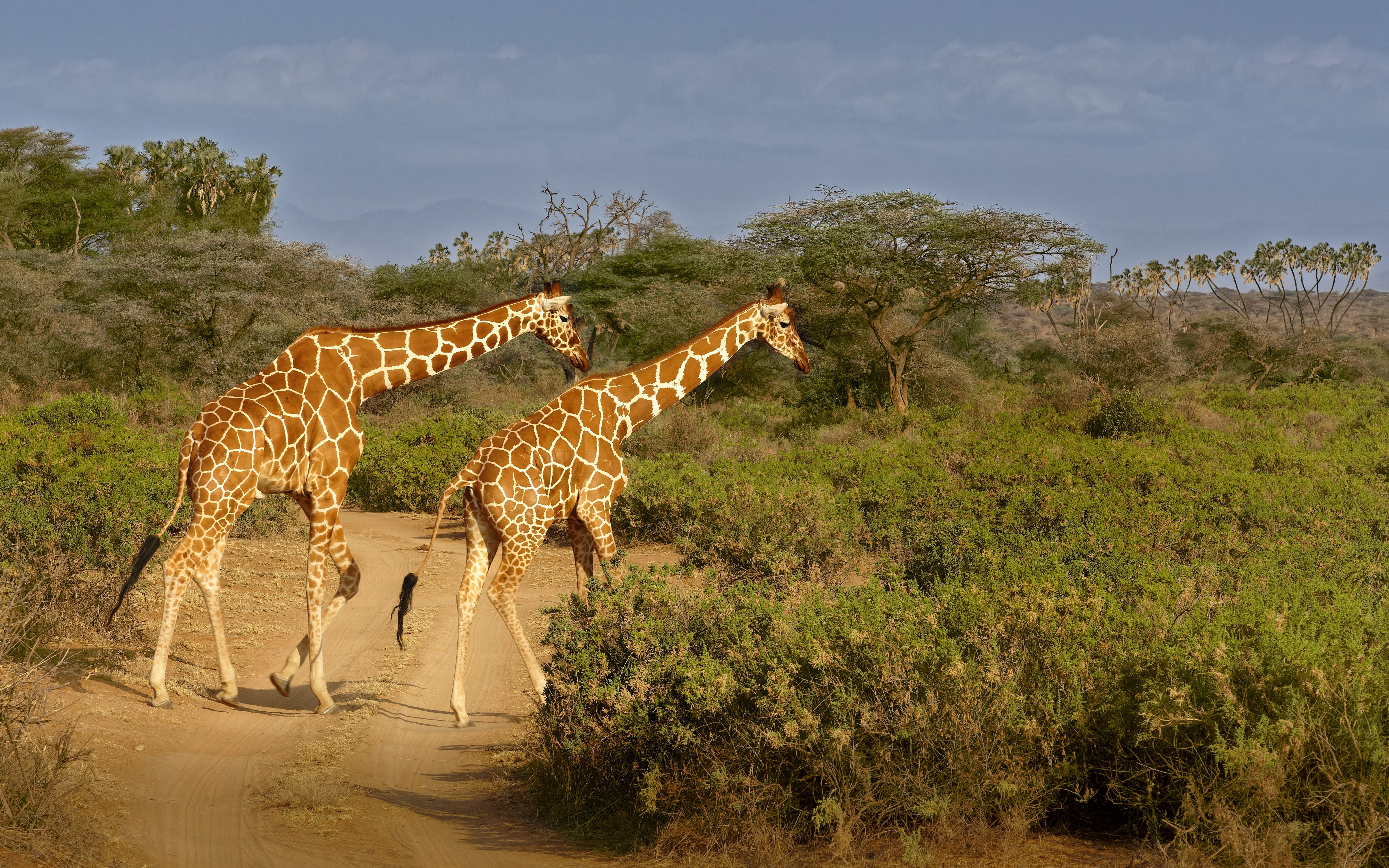 Kenya tour packages