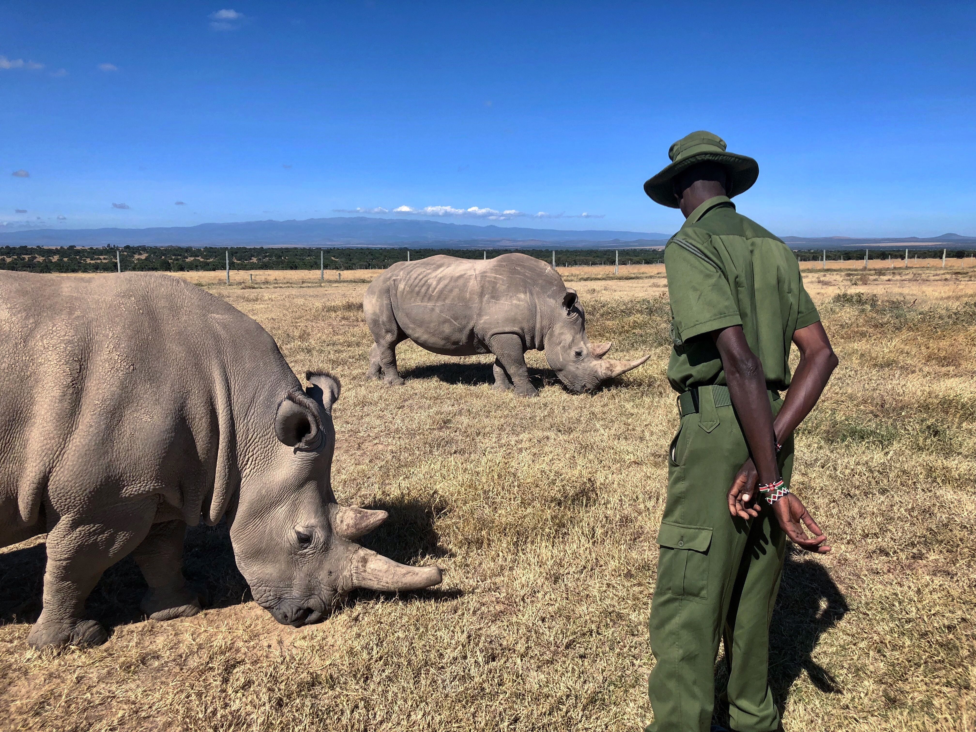 Kenya tour packages