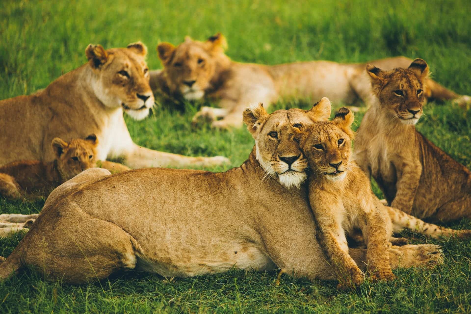 Kenya tour packages