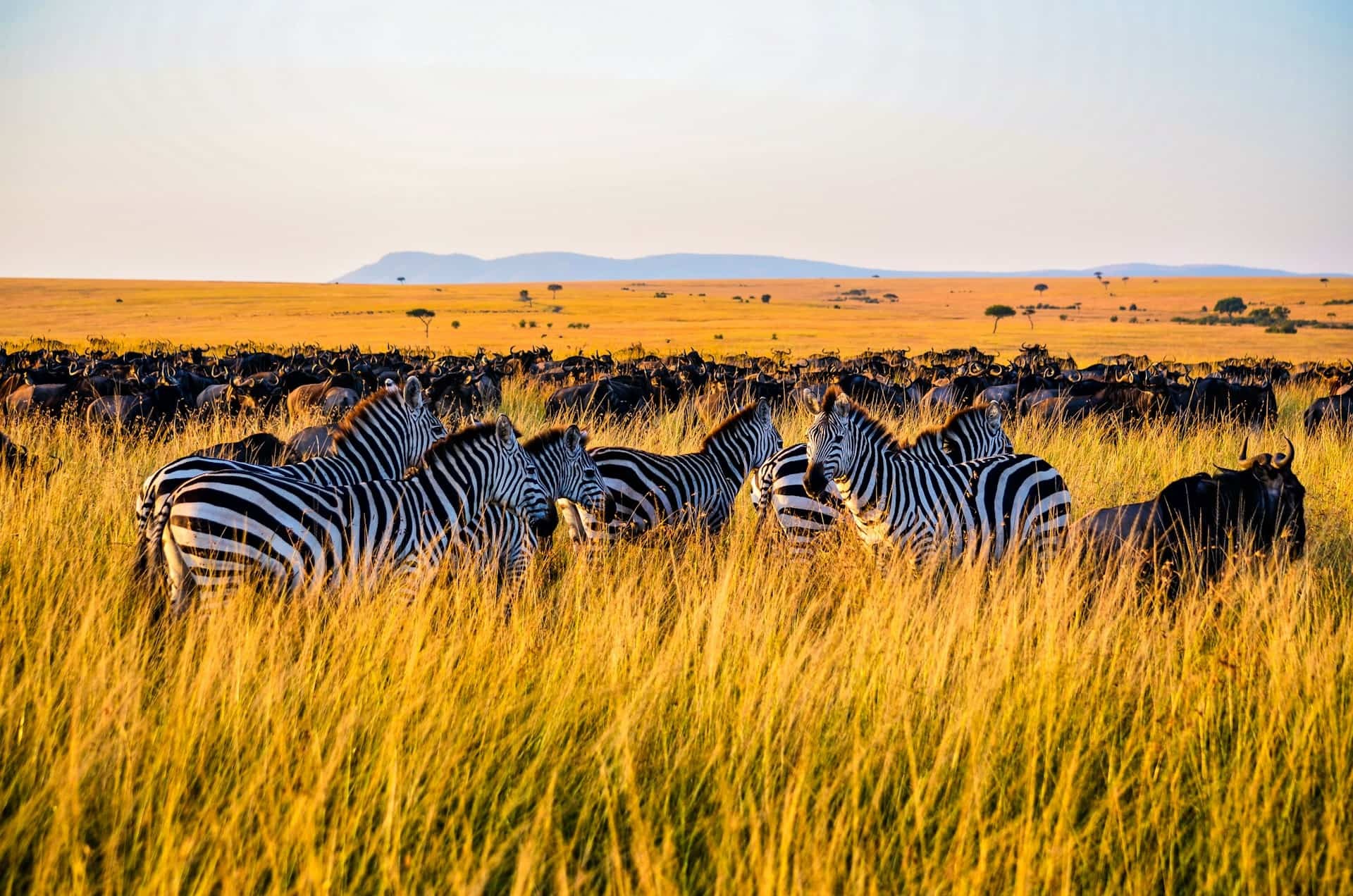 Kenya tour packages
