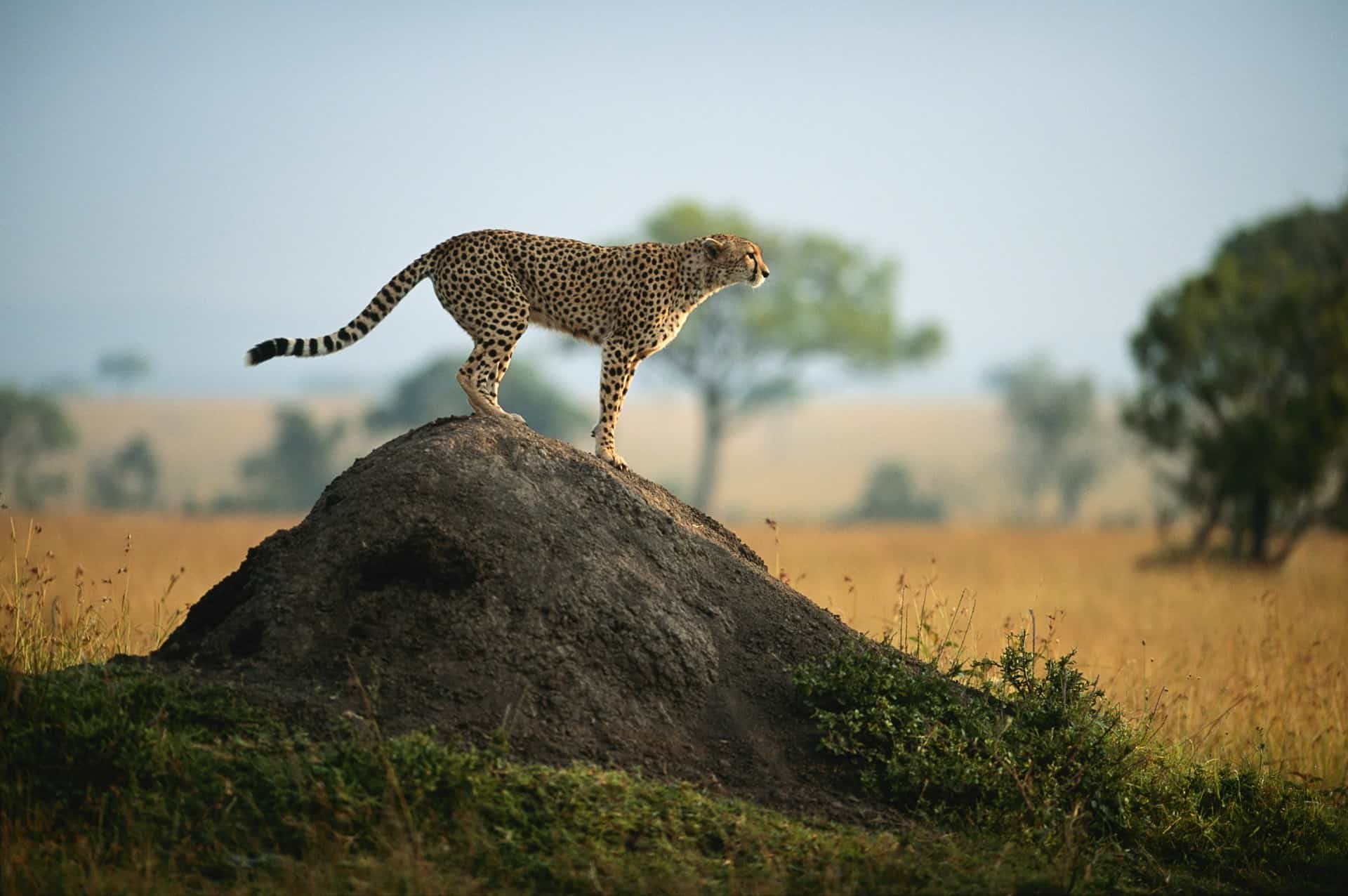 Kenya tour packages