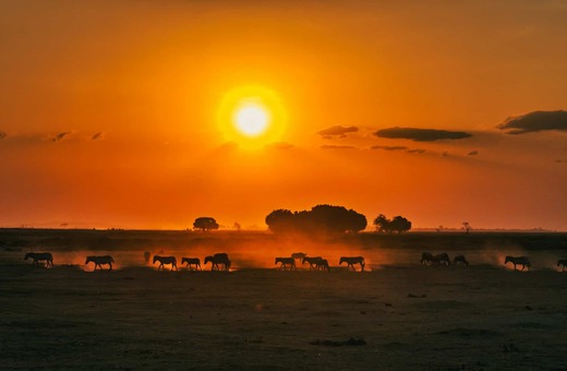 Amboseli & Tsavo Classic Safari Adventure