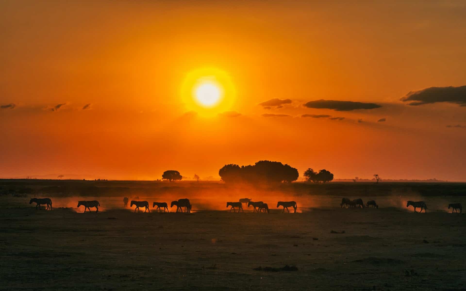 Kenya tour packages