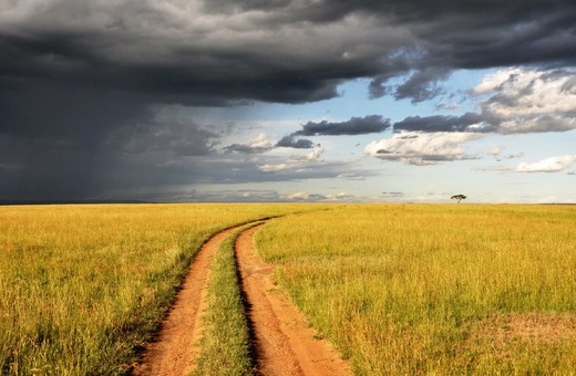  Kenya Big Five & Great Rift Valley Safari