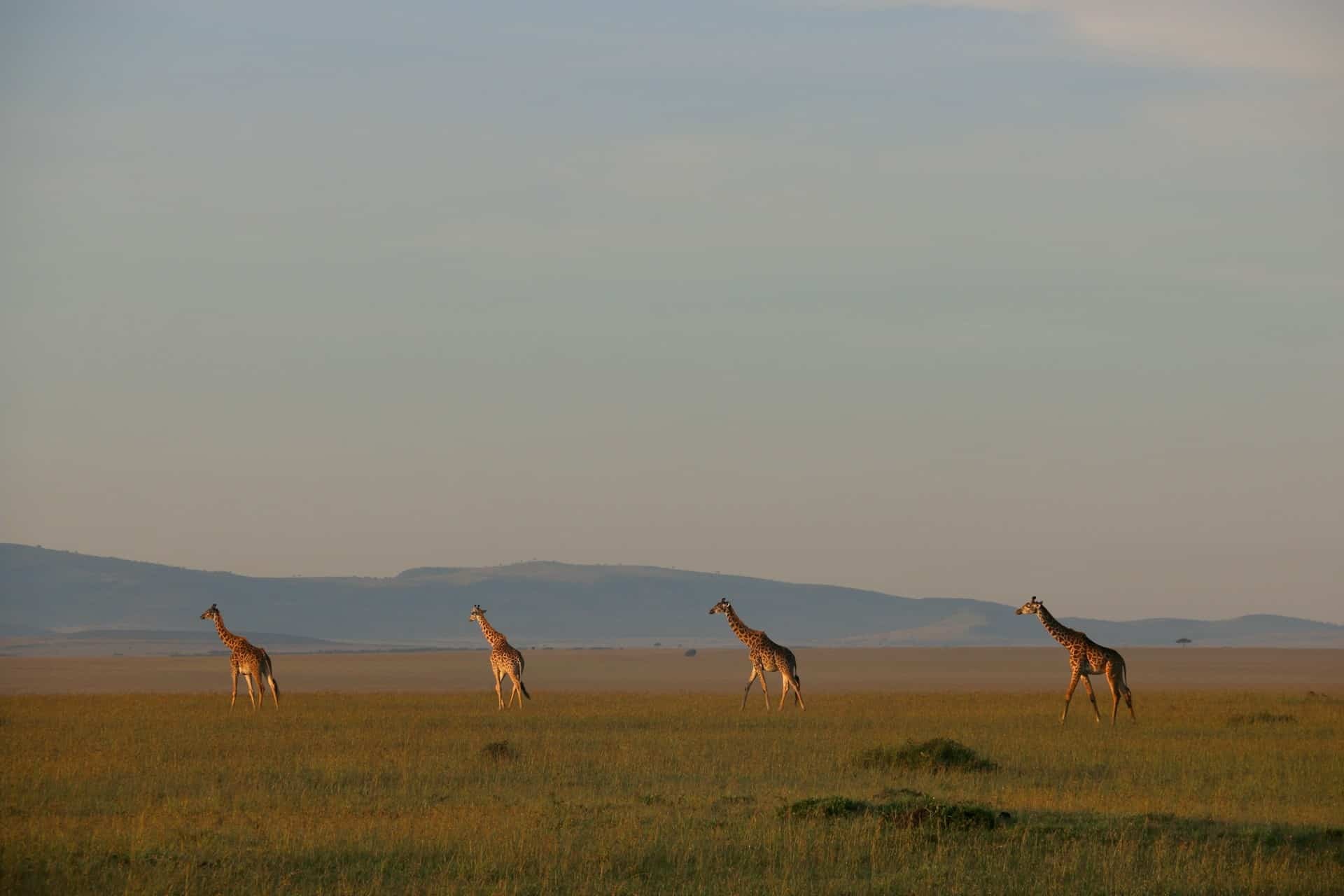 Kenya tour packages