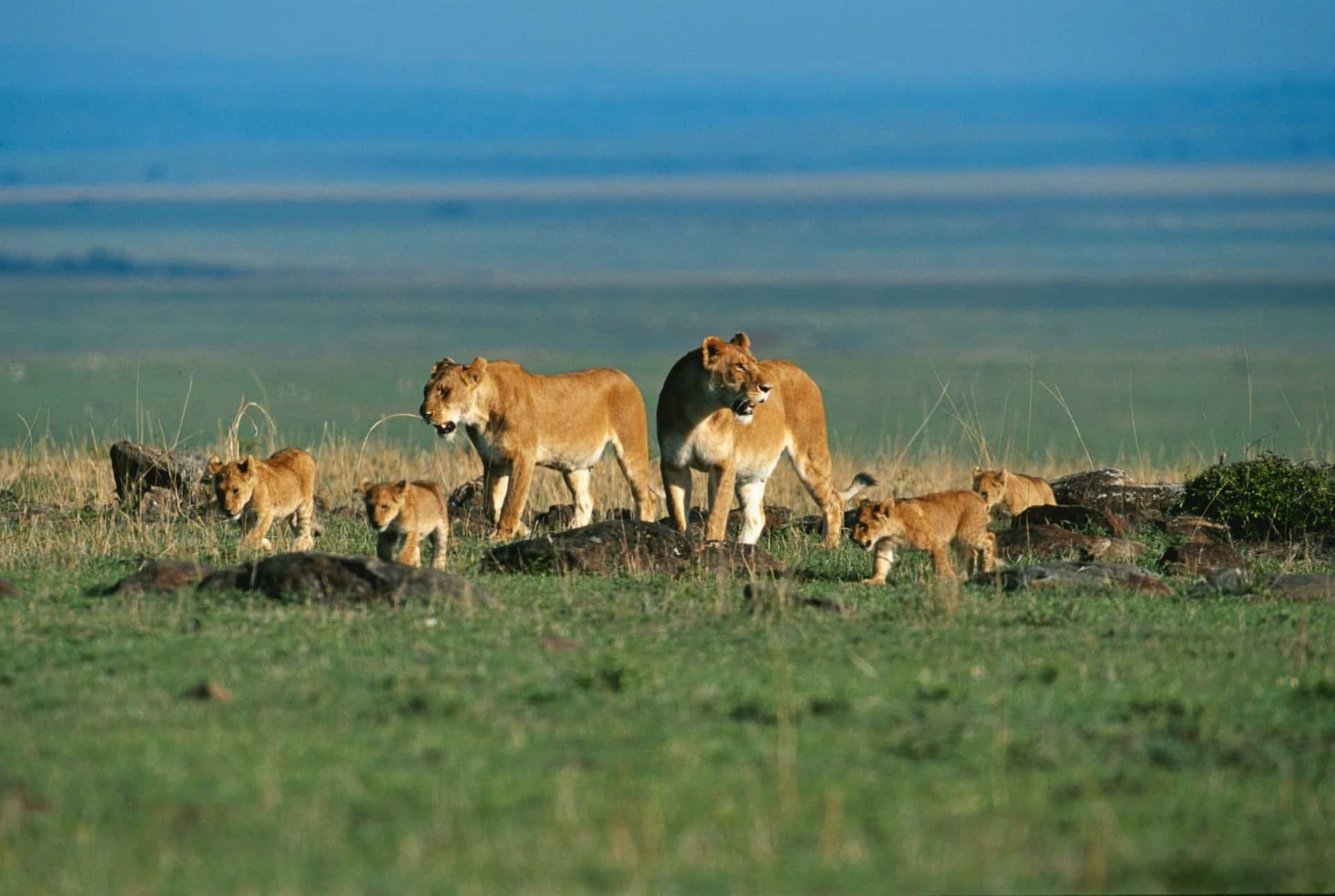 Kenya tour packages