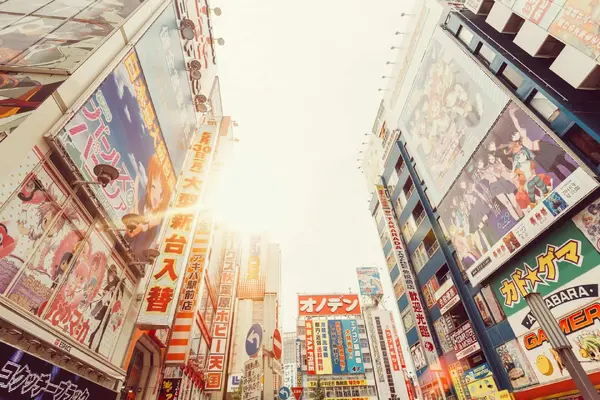 Japan Tour Packages Itineraries | Japan Unleashed 12day Adventure | Touron | Touron Holidays | Best Travel Agency