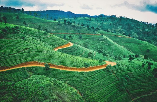 The Complete Sri Lanka Circuit in 9 Days