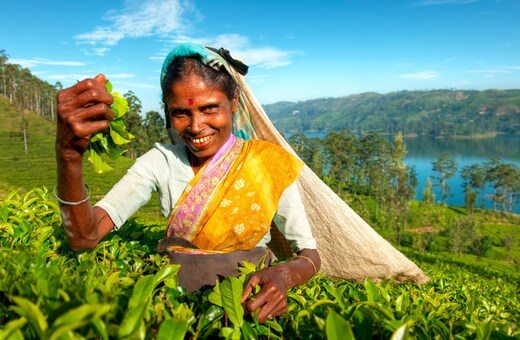 Sri Lanka’s Tea Trails to Maldives Blue Lagoons