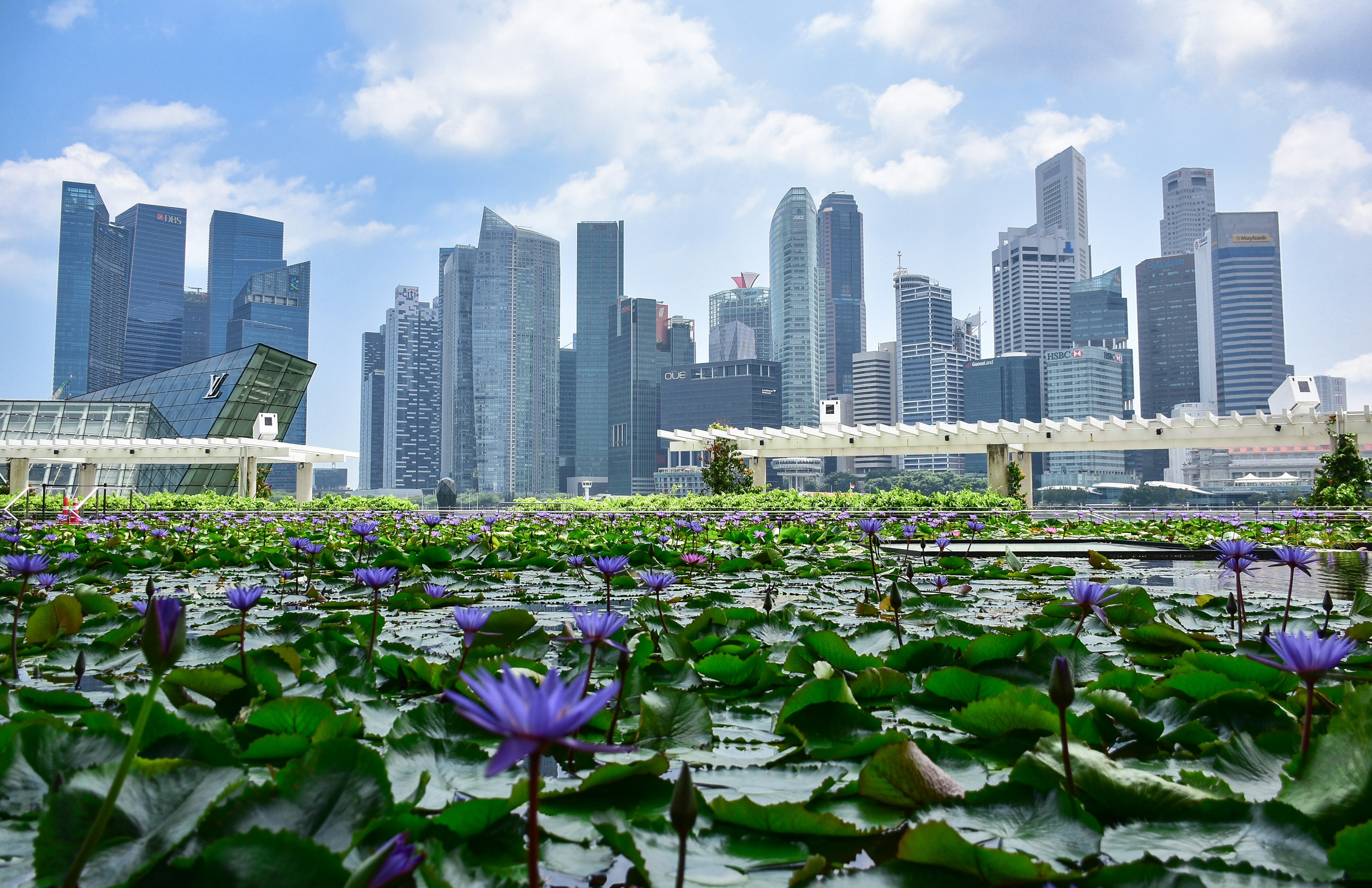 Singapore Tour Packages Itineraries | The Magic Of Singapore 5 Days | Touron | Touron Holidays | Best Travel Agency