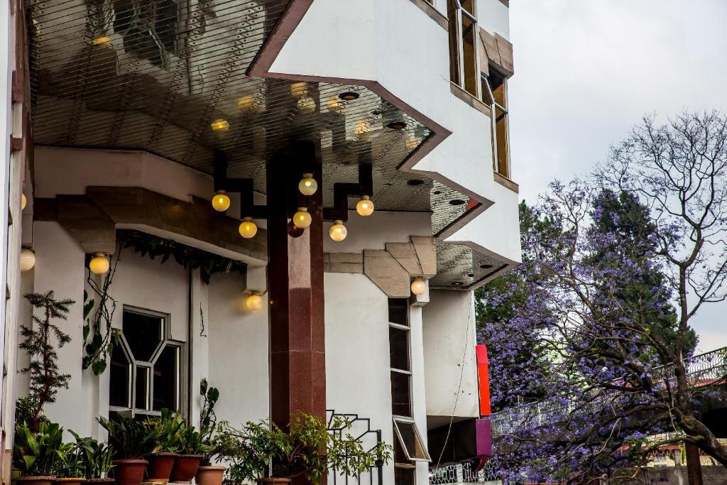 Hotel Pegasus Crown