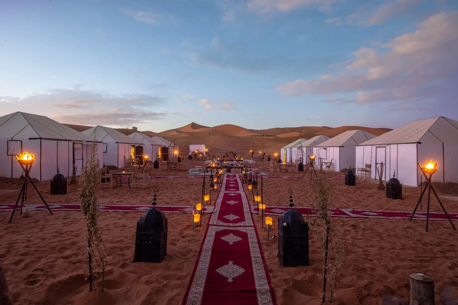 Sanmao Desert Luxury Camp