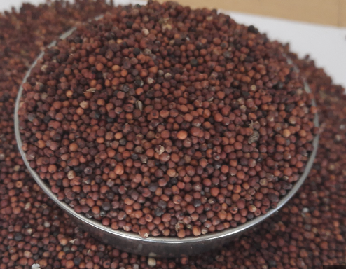 Ragi