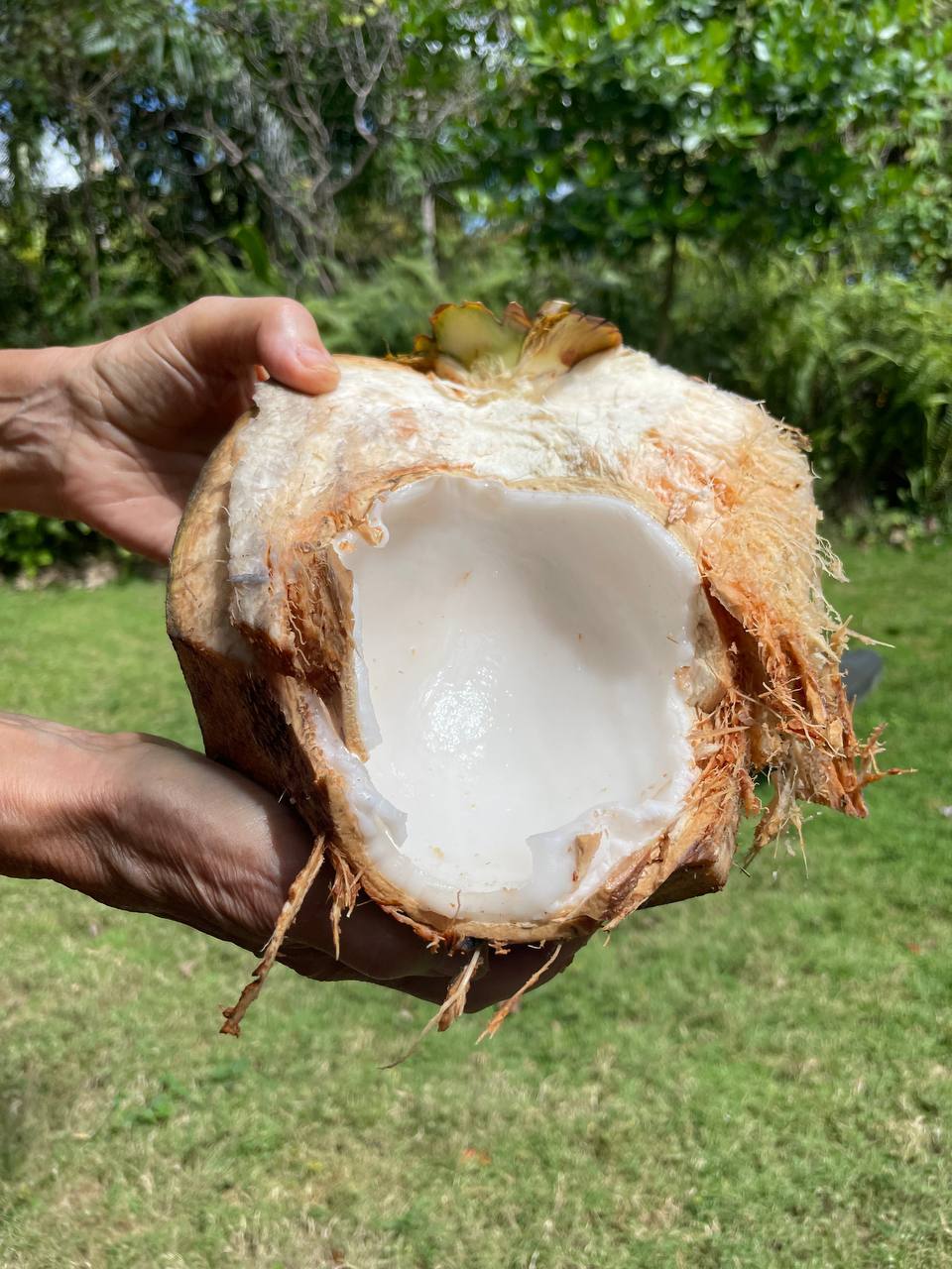Natural nutrition