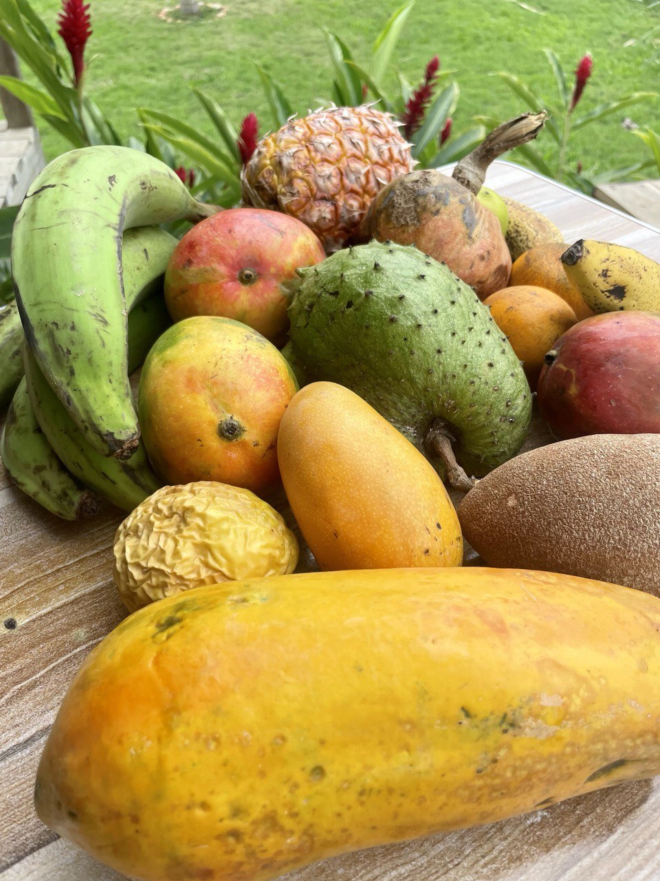 Raw food experience