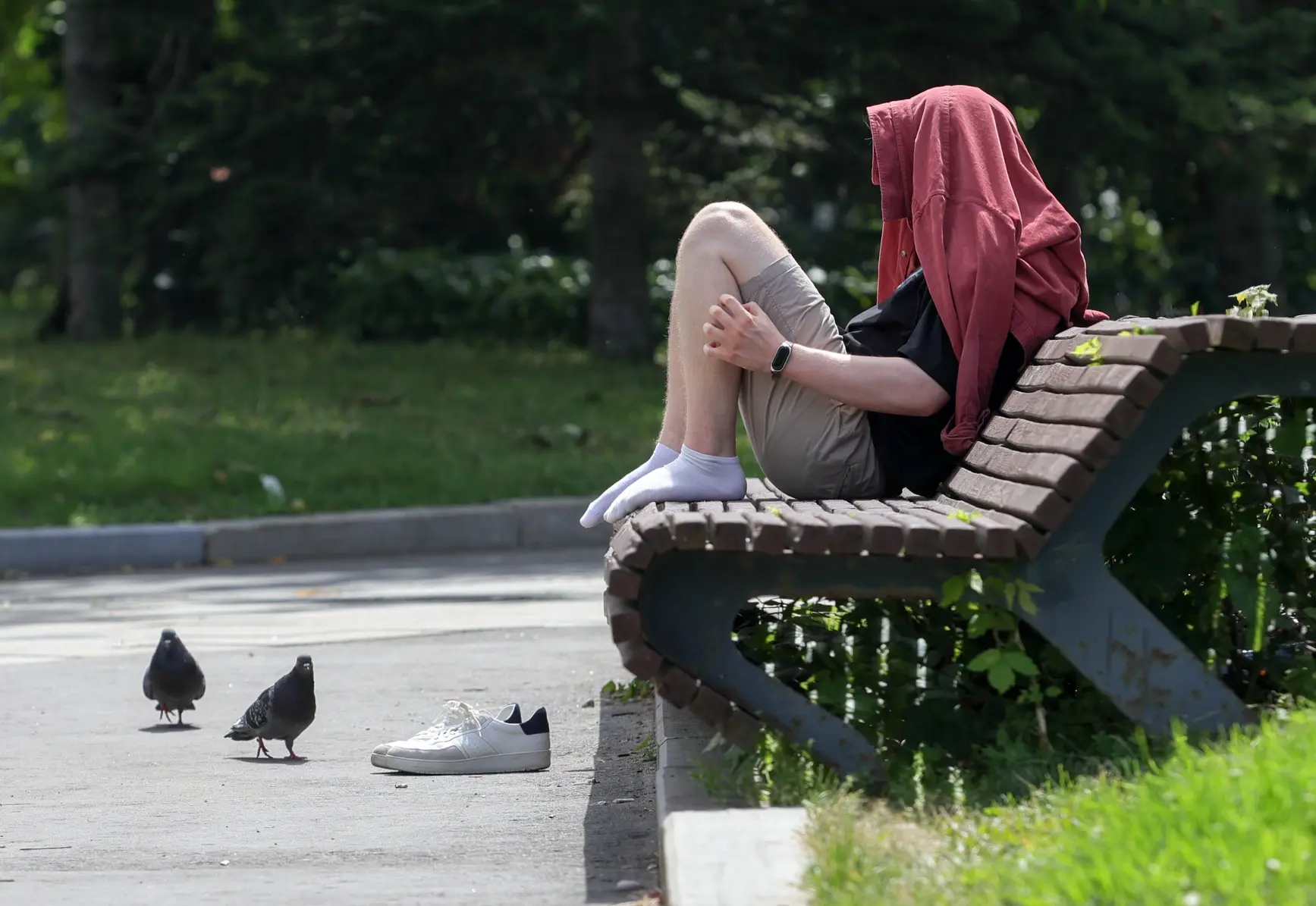 2025 год войдет в тройку самых теплых на планете