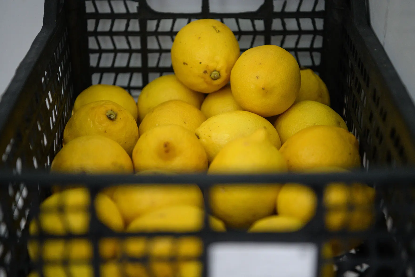 Абхазия нарастила поставки фруктов в Россию