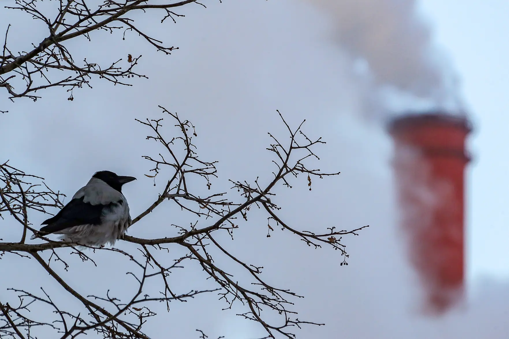 Авария на ТЭЦ в Ангарске привела к снижению температуры в домах