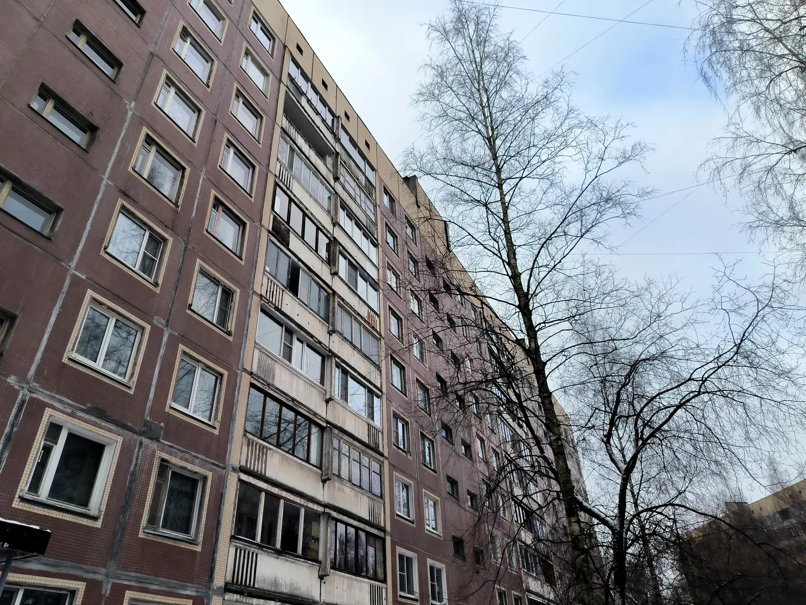 Деревья падают на дома в российских городах: что происходит