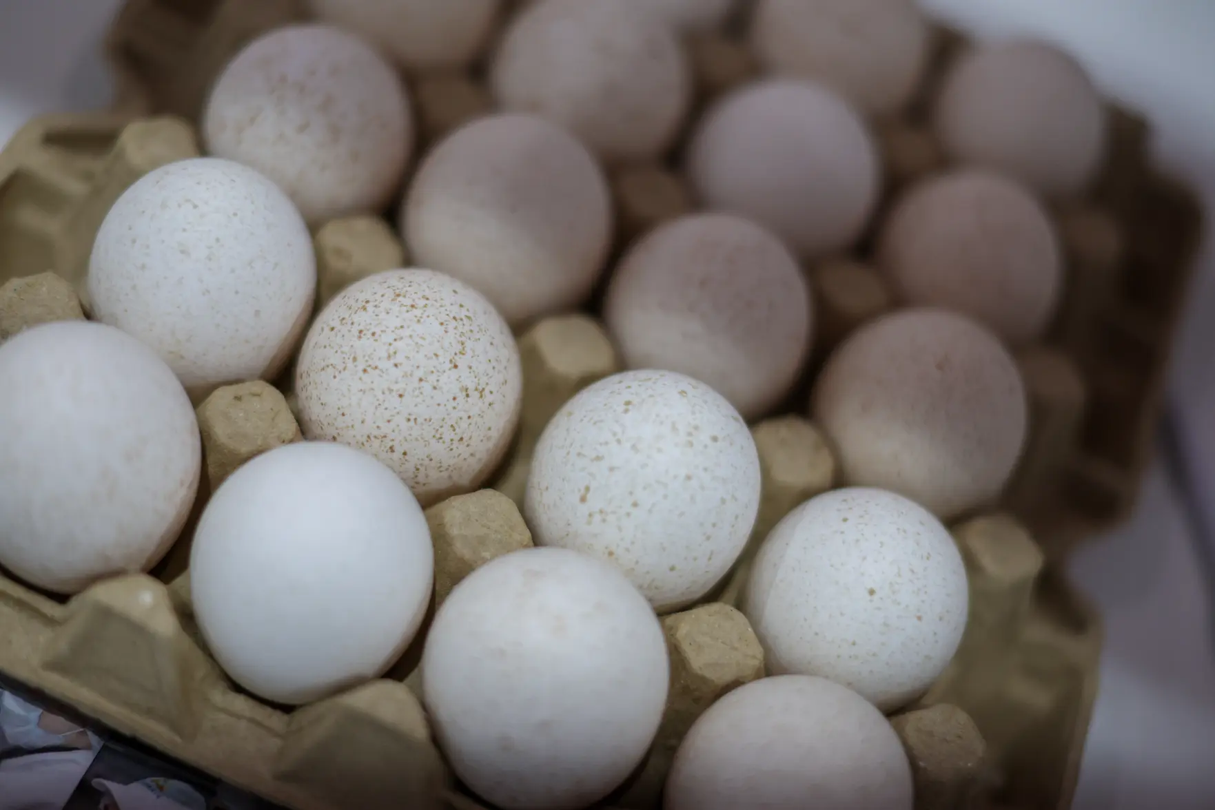 Berliner Zeitung: в ЕС жалуются на рост поставок яиц с Украины