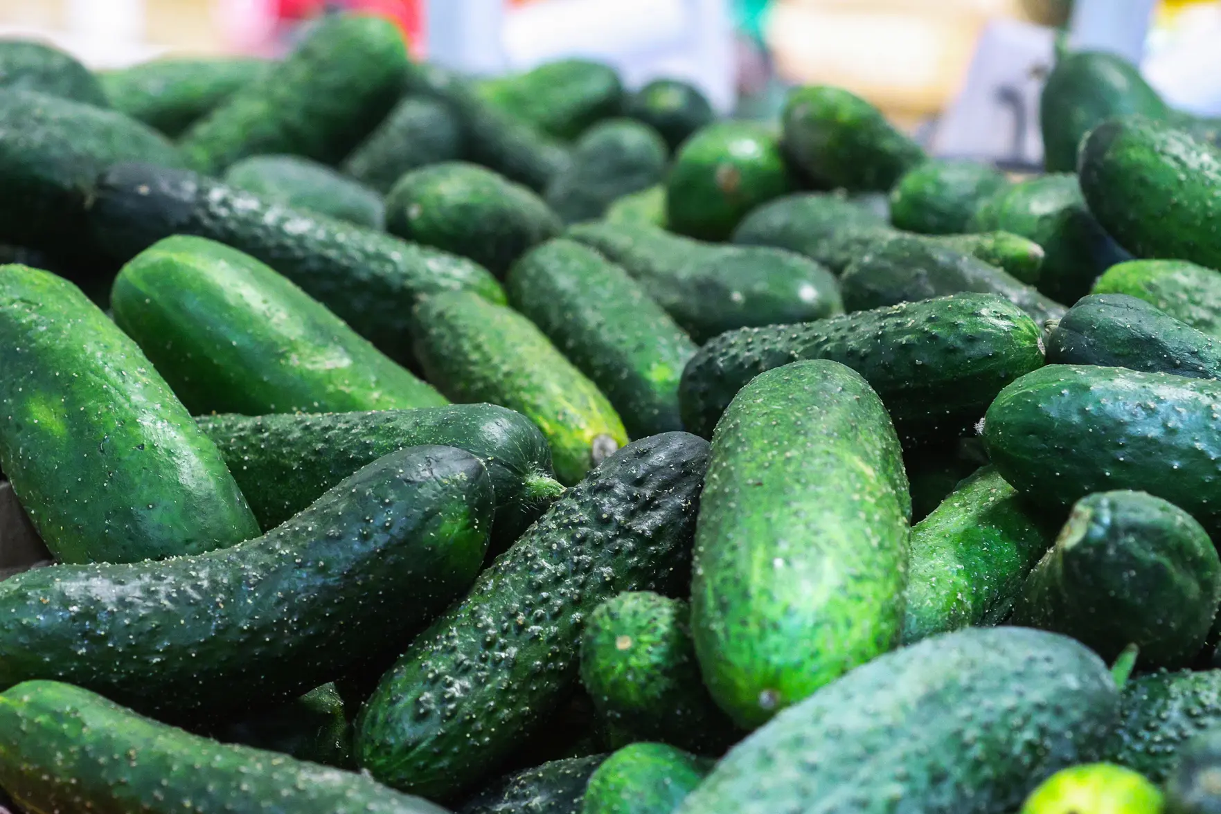 Депутаты попросили ФАС проверить производителей огурцов на фоне резкого роста цен