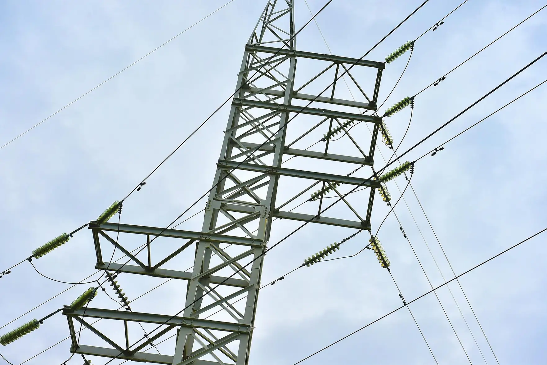 В Гатчинском и Петродворцовом районах Ленобласти отключали электричество из-за аварии на ЛЭП