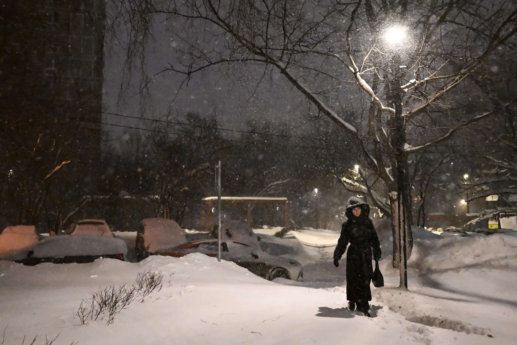 Холодная ночь в Москве и области