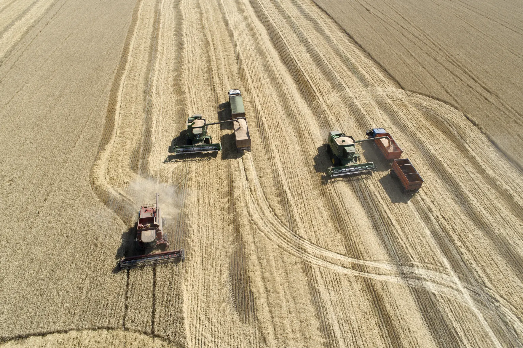 Импорт российской пшеницы в Казахстан может вырасти до 1,2 млн тонн в сезоне 2025/26