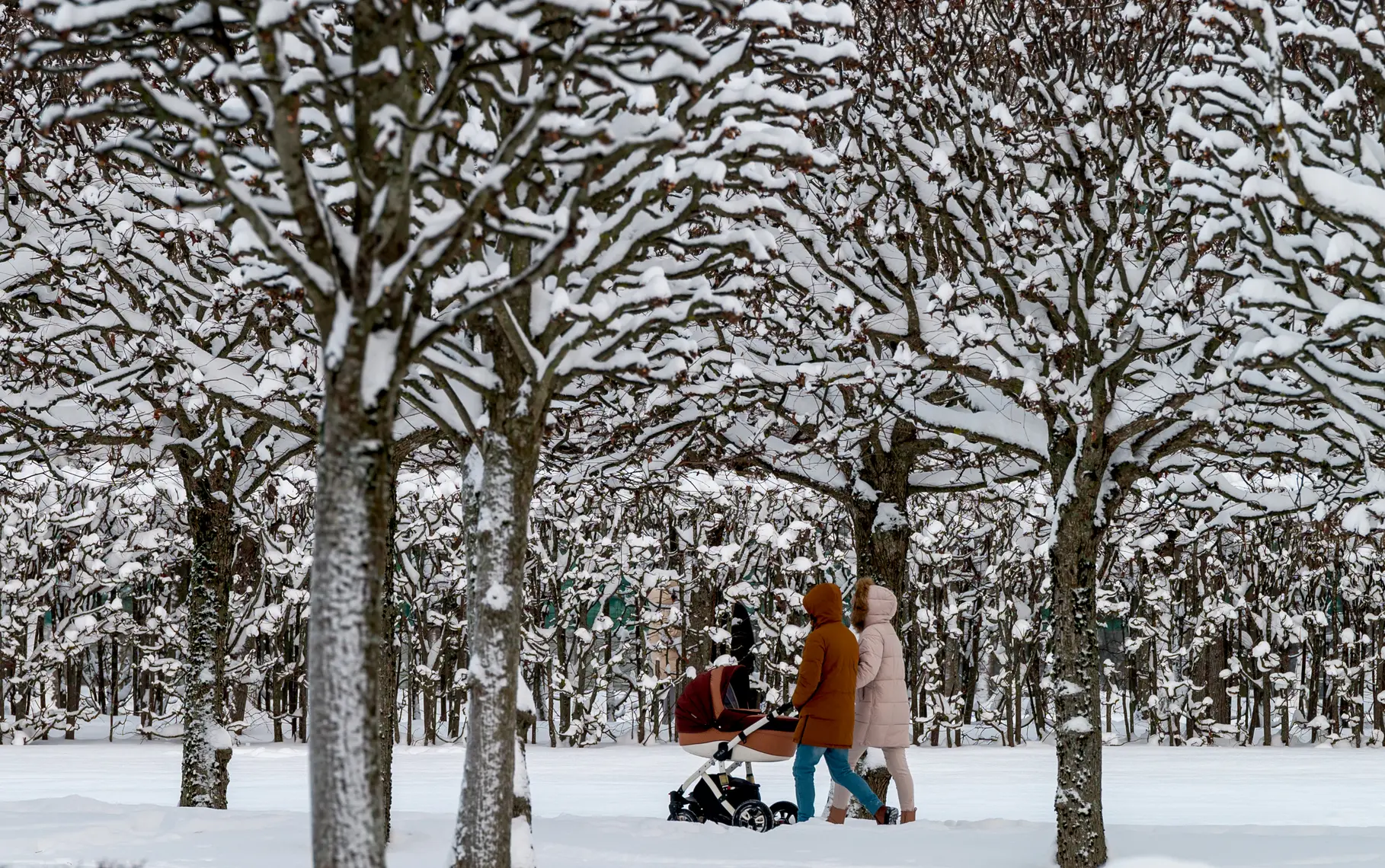 Индексация соцвыплат в России с 1 февраля: маткапитал, пособия и выплаты инвалидам